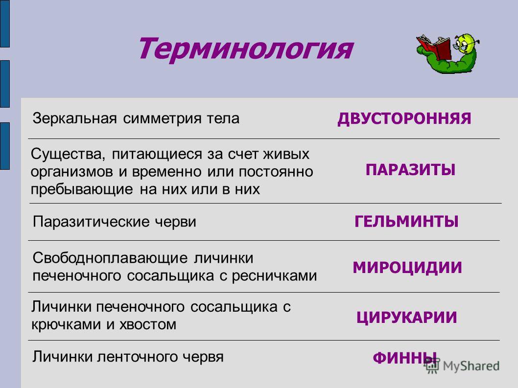Переход на кракен