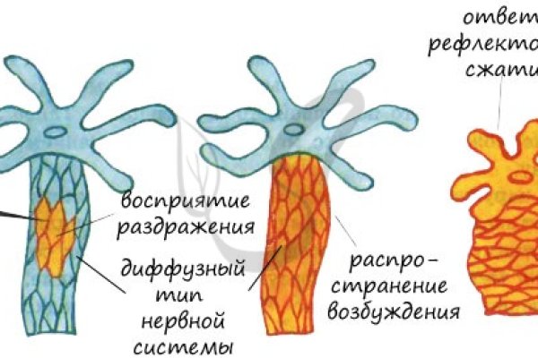 Кракен магазин krakens13 at