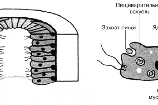 Кракен точка ат