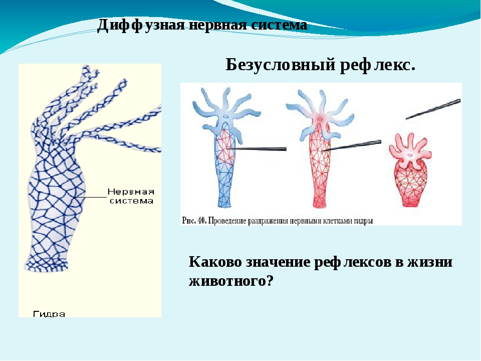 Что такое кракен площадка