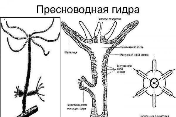 Кракен актуальная ссылка тор